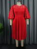 Plus Size Lace Lantern Sleeve Dress with Pleated Skirt - Christmas Gift