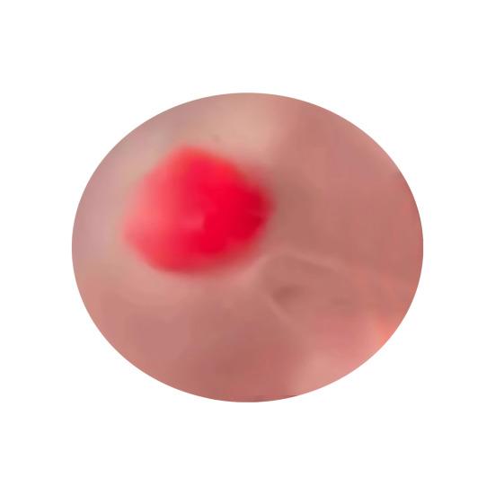 Simulation Egg-yolk Pastry Squeeze Toy Anxiety Stress Relief Fake Food Sensory Fidget Toy Slow Rising Decompression Gadgets