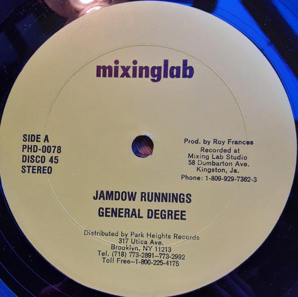 

12inch Record GENERAL DEGREE KRYSTAL FLOURGON Jam Down Runnings Loverman PHD0078 Mixing Lab Jamaica Reggae Ska Dub Used