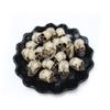 20pcs Bonsai Realistic Skull Crafts Skull Mini Skulls Set  Courtyard Ornaments