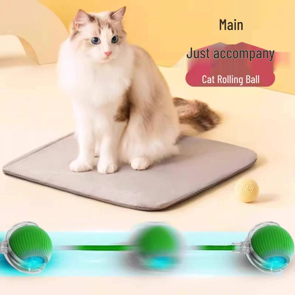 Smart Cat Dodging Ball: Automatic Electric Toy for Self-Entertaining and Decompression