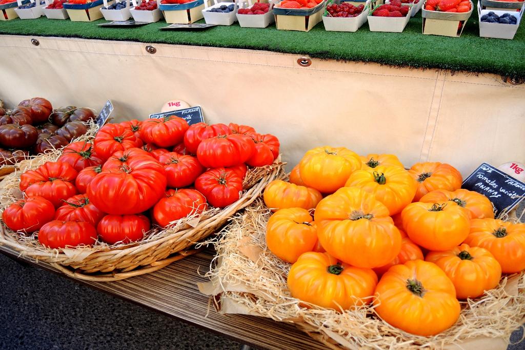 SAFLAX Garden In the Bag - Organic - Tomato - Rouge De Marmande - 10 Seeds - With Substrate In a Fitting Stand Up Bag - Solanum Lycopersicum