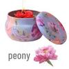 Tin Can Soy Wax Scented Candle Gift Set with Plant Essential Oils for Long-Lasting Indoor Fragrance