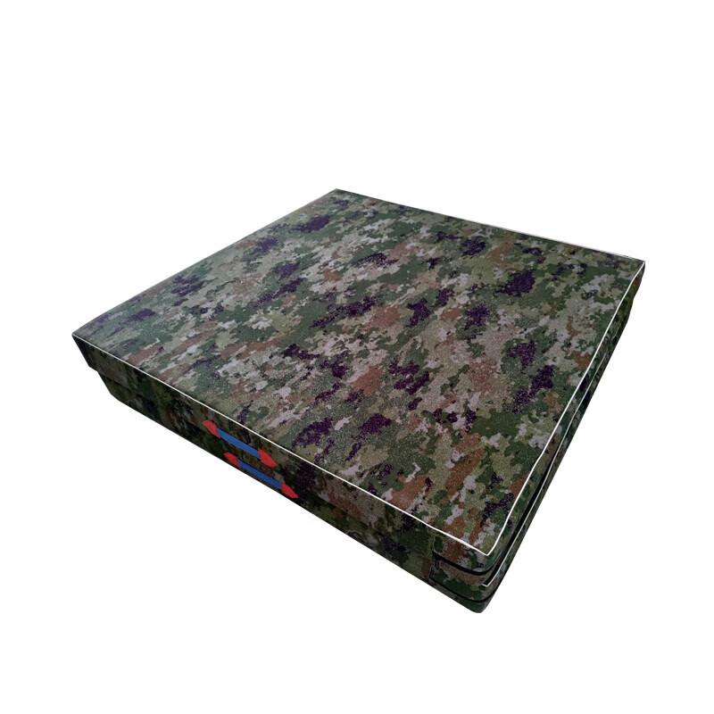 Multi-Purpose Gymnastics & Yoga Mat