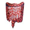 Human Organ Costume Sponge Suit Jumpsuit Brain Liver Uterus Heart Cosplay Emotional Organ Theme Party Attire Halloween Costume