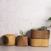 Natural Flower Plant Basket With Woven Rattan Design For Indoor And Outdoor Use Perfect For Herbs And Potted Flower Use