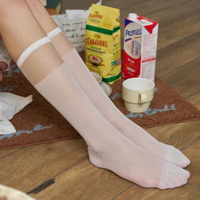 [2SET/26SS] Minette See-through Block Knee Socks 2 Pairs 2 Colors