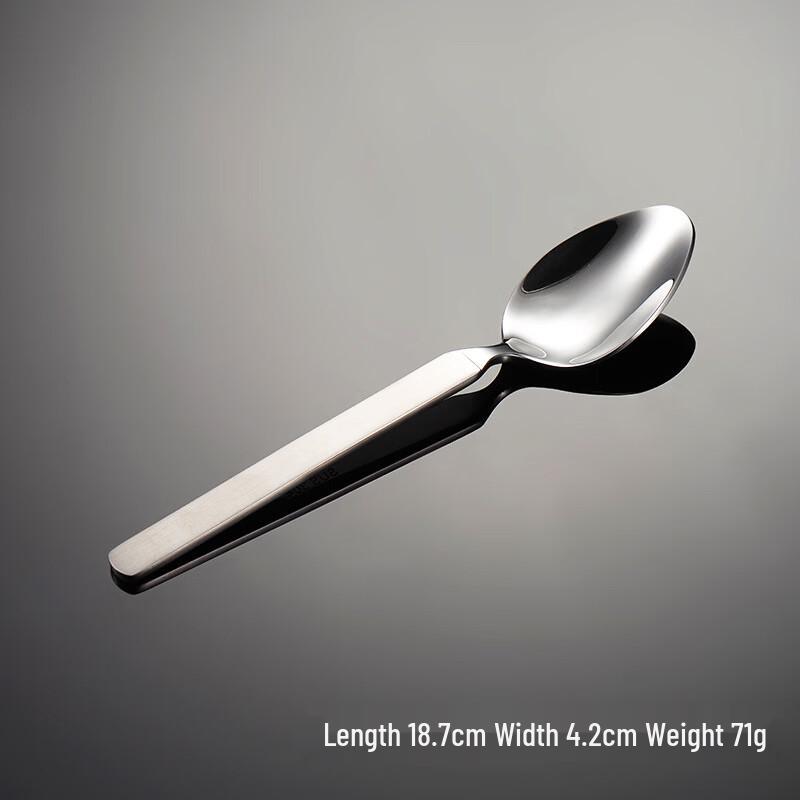 

Qianxing 304 Stainless Steel Dinner Spoon Set