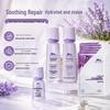 DR PLANT Alpine Prickly Pear Skincare 8-Piece Set