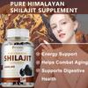 Pure Himalayan Shilajit - High Fulvic Acid – Energy, Focus, Detox
