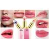 Farbwechselnder Lippenbalsam, Temperatur-Lippenstift, natürlich, langlebig, wasserfest, Kristallblumen-Gelee-Lippenstift-Make-up