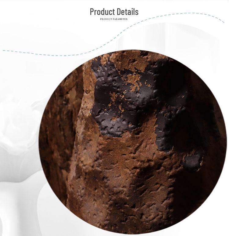 Minimalist Japanese Andromeda Vase: Ceramic Floor Container for Living Room Flowers, Hydroponic Arrangements, and Entrance Decorations.