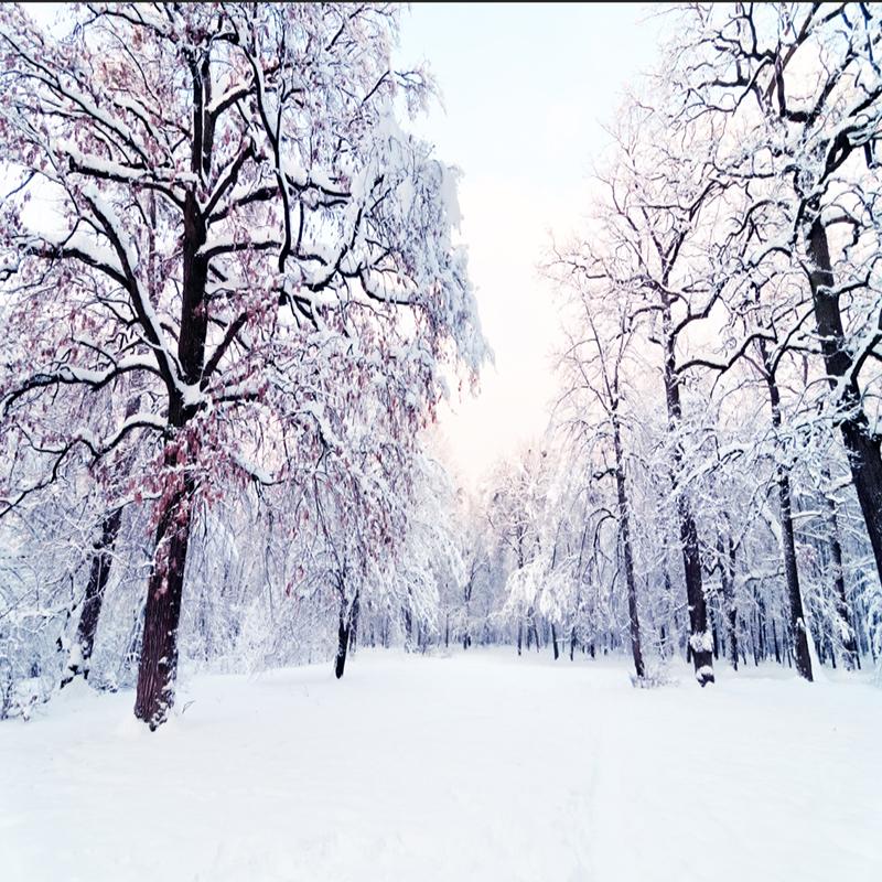 Custom 3D Wallpaper Home Decor Snow Scenery Forest Large Mural Art Wall Painting Living Room Bedroom Background Photo Wall Paper