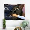 Funny Smoking Black Cat Meme Tapestry Wall Hanging Home Decor for Bedroom Living Room Dorm Fun Cat Smoking Emojis