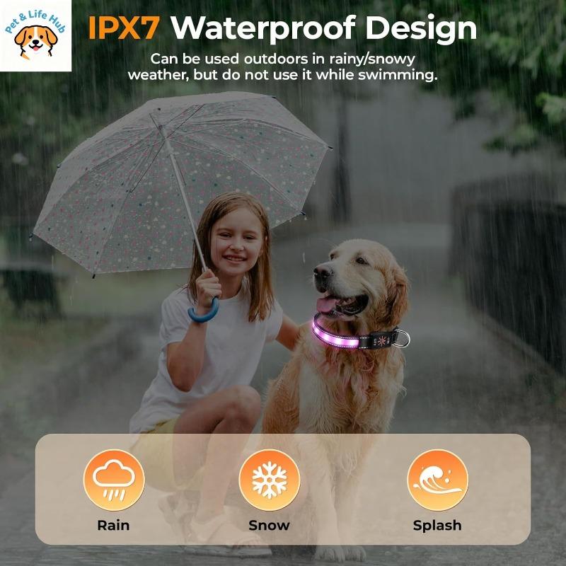 USB-C Rechargeable Waterproof Light Up Dog Collar Anti-lost Glowing Collar 6 Colors Adjustable for Night Walking