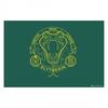 Wizarding World Slytherin Door Mat