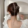 Französische Lange Quaste Hai Haarspange Strass Haarspange Haarnadel Barrett Haaraccessoires für Freundin Frauen