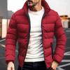 Men Coat Stand Collar Long Sleeve Full Zipper Closure Quilted Jacket Solid Color Thickened Loose Fit Puffer Coat with Side Pockets