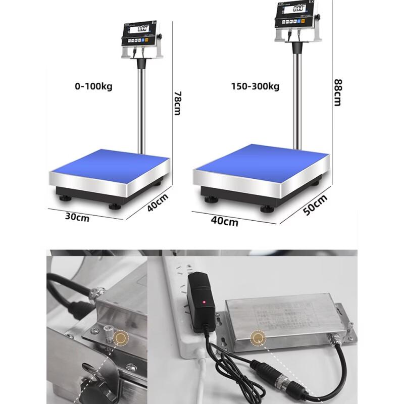 Industrial Electronic Platform Scale
