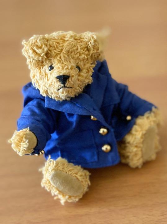 [USED] Teddy Bear Blue Coat