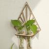Vase Hydroponic Plant Holder Home Ornaments Flower Pot Wall Hanging Planter Shelf  Wall Mount