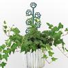 Small Trellis for Potted Plant Plastic Plant Trellis for Climbing Plant Indoor Pots For Indoor Climbing Plant Houseplant