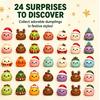 Christmas Squishy Advent Calendar, 24 Days Countdown Surprise Box, Dumpling Slow Rebound Squishies Squeeze Sensory Gift