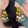 Resin Round Flower Tassel Earring for Women High-end Drop Earring Medieval Style Personalized Fashion Luxury Designer Zircon