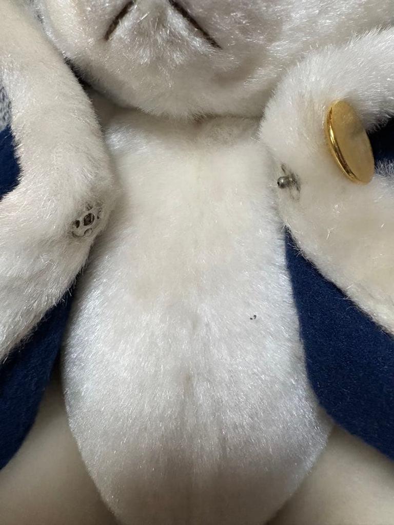 [USED] Huis Ten Bosch Teddy Bear, Limited Edition of 1500, Original Bear, Vintage, Rare