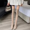Over-knee Boots Year Children Autumn and Winter Fleece Pointed Thick High Heel Long Elastic Boots Spring and Autumn Thin High Boots