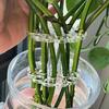 2Pcs Vase Flower Frog Reusable Clear Flower Arrangement Holder Flower Stem Holder Grid for Arranging Flowers Wedding Bridal Shower Party Decor