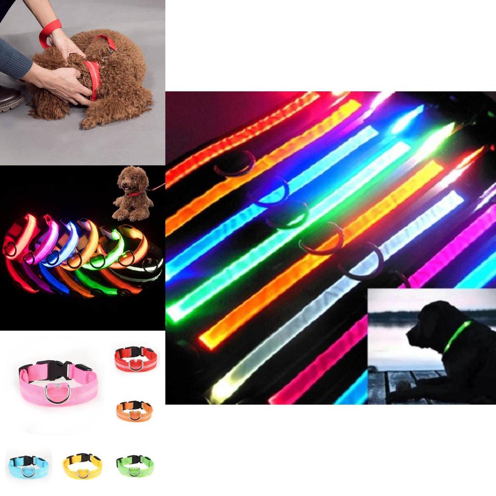 Brightly Colored Led Dog Collar Rechargeable Light-up Neckband For All Size Dogs