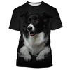 Border Collie 3D Gedrucktes T-Shirt Für Männer Mode Niedlicher Tierhund Unisex Rundhals Lässig Kurzarm T-Shirt Kleidung