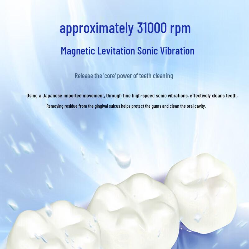 Panasonic EW-DC12 Sonic Electric Toothbrush