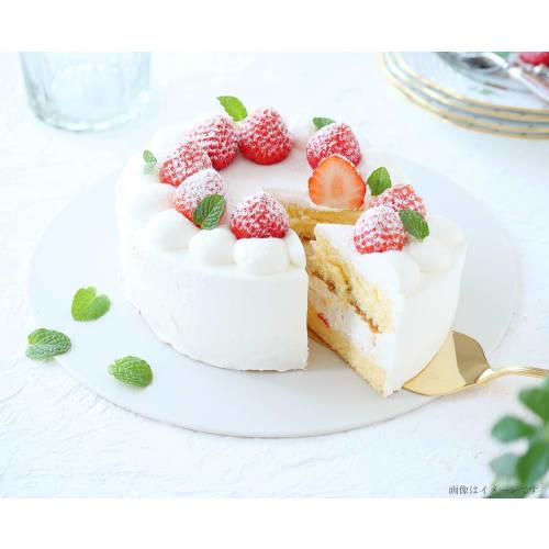 Ihara Kihan Cut Plate, Black, Large, CPLL-B