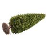 10 Cm Diorama Trees Christmas Village Model Trees Christmas Christmas Village Trees Variety Of Sizes DIY Landscapes