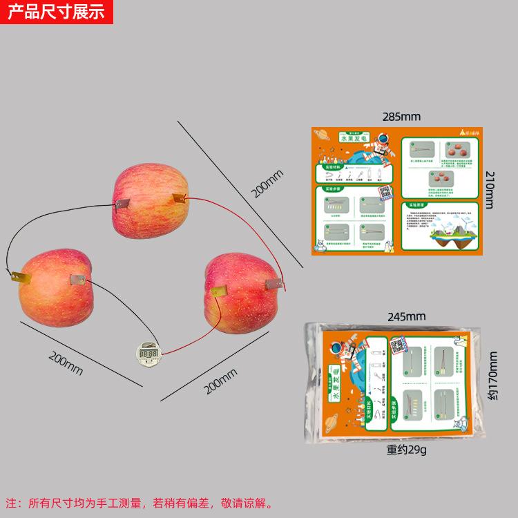 Bilim Deneyi Meyve Gücü Üretimi Çinko Bakır Parçalar Teknoloji Küçük Yapım Öğrenciler Küçük İcat Fizik Deneyi Malzemesi Oyuncaklar