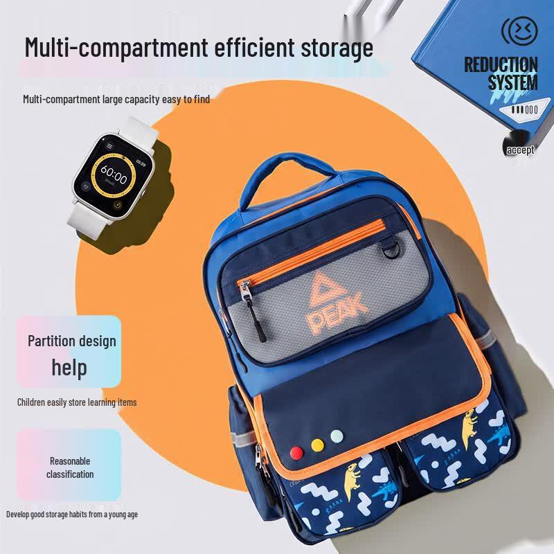 Peak Ergonomic Large Capacity School Backpack for Boys