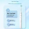 Philips Sonic Electric Toothbrush HX2418 CN plug (adapter included)
