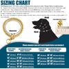 12mm Gold Cuban Link Dog Collar - Stainless Steel Chain Collar with O-Ring Lock for Small, Medium & Large Dogs - Adjustable Heavy Duty Pet Walking
