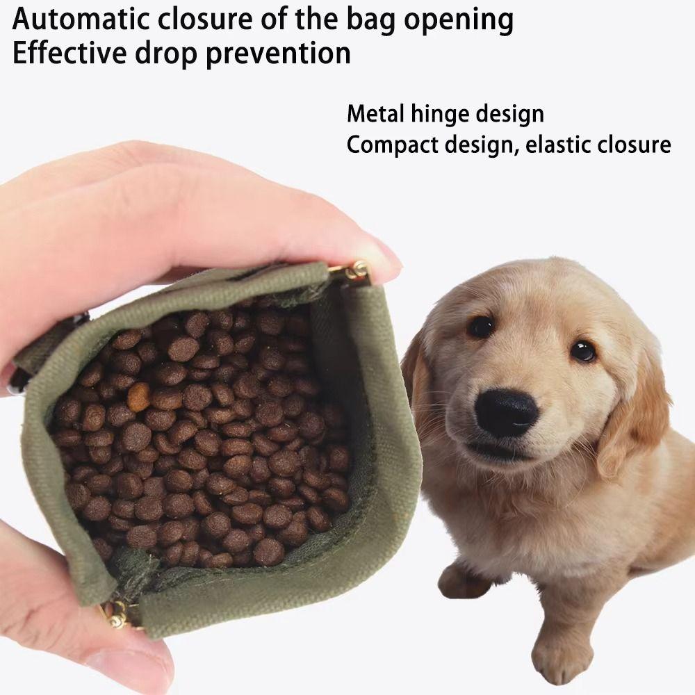 Portable Design Pet Training Waist Bag Large Capacity Oil Resistance Pet Snack Container Magnetic Closure with Carabiner