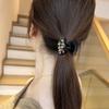 Elegant Crystal-Encrusted Hair Clip, Medium-Sized Side Hairpin, Super Sparkling Crystal Hairpin, Shark Hairpin