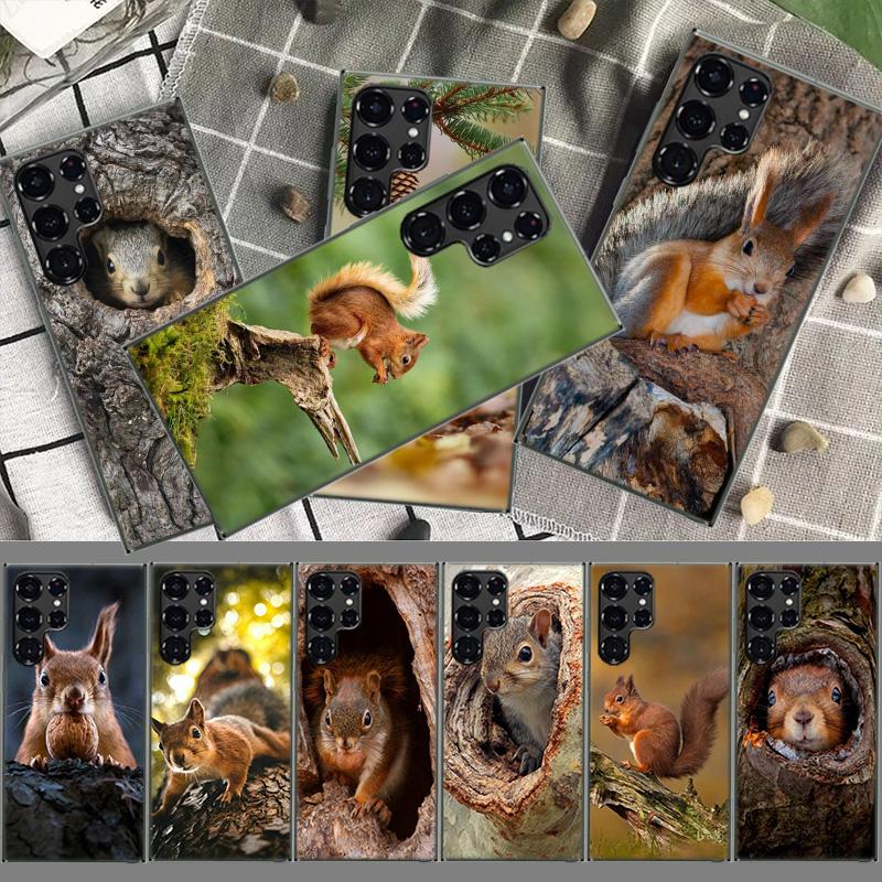 Forest Squirrels Foraging For Food Coque For Samsung S23 S22 Ultra S24 FE S25 Edge Phone Galaxy S21 S20 FE S10 Plus Case Luxury