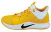 Pg 3 Tb 'University Gold' CN9513-702