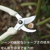 Kenrui Hardware Pruning Rajette for Powerful Gardening Weed and Tree with Replacement Pruning Garden Work Shears, Small, Lightweight, Straight, Blade,