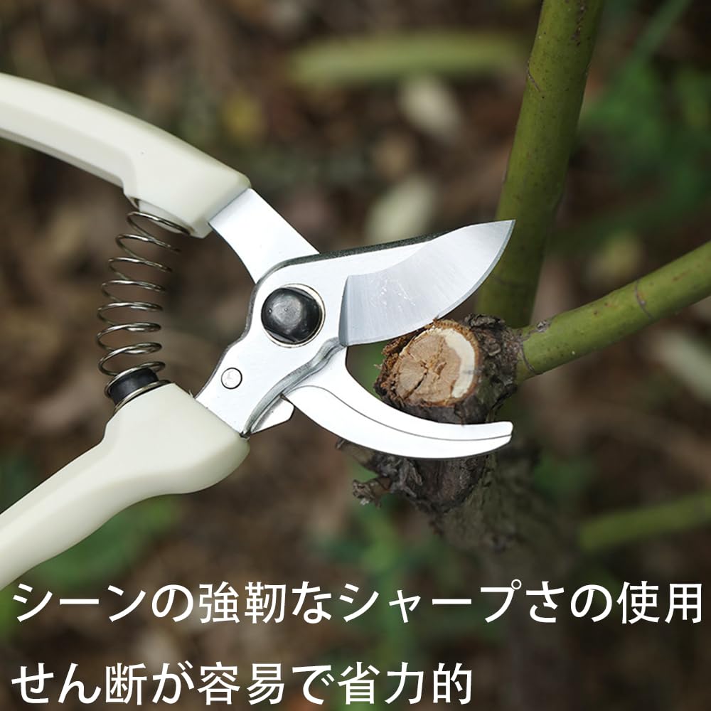 Kenrui Hardware Pruning Rajette for Powerful Gardening Weed and Tree with Replacement Pruning Garden Work Shears, Small, Lightweight, Straight, Blade,