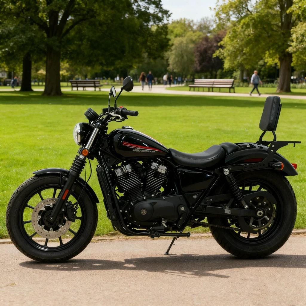 Harley Nightster 975 Backrest & Tail Rack Storage Solution