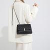 High-end Bag for Women's New Fashionable Texture Embroidered Shoulder Bag for Summer Niche Versatile Chain Crossbody Bag