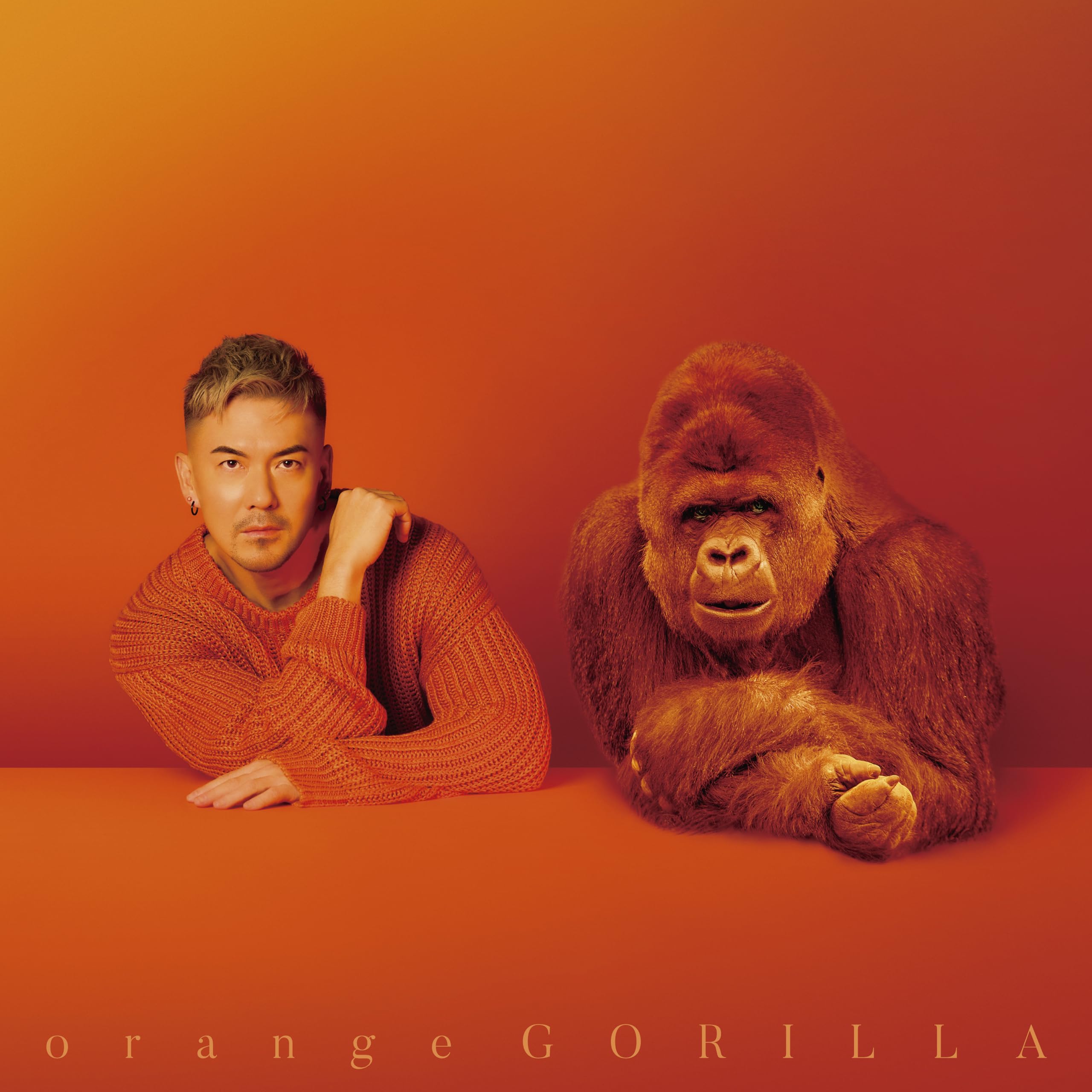 

Toshiki Yonekura orange GORILLA