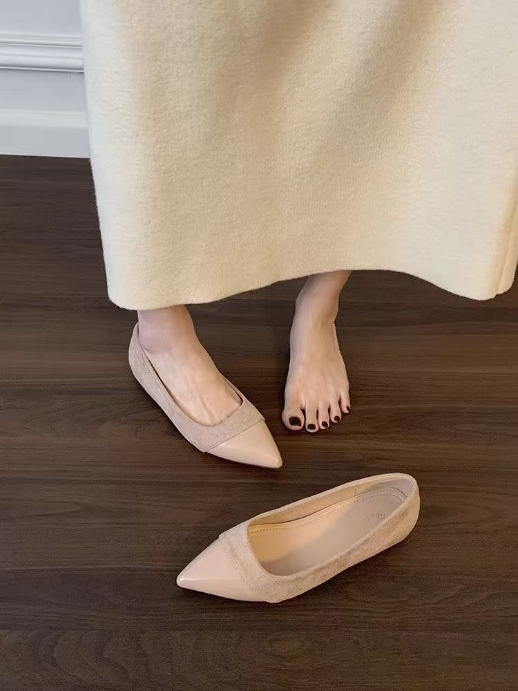 With Skirt Single Shoes French Xiaoxiang Temperament Pointed Shoes 2025 Summer New Foreign Style Gentle Flat Fairy Shoes